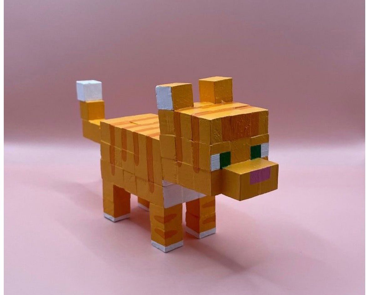 WhatsApp Image 2026-01-22 at 17.50.39